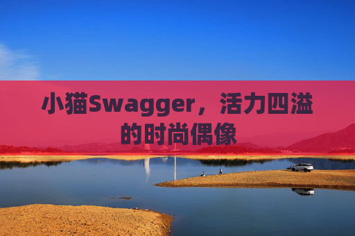 小猫Swagger,活力四溢的时尚偶像 小猫Swagger,活力四溢的时尚偶像