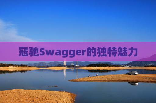 寇驰Swagger的独特魅力
