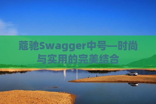蔻驰Swagger中号—时尚与实用的完美结合