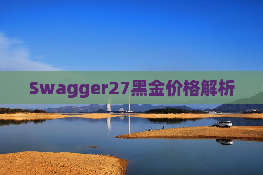 Swagger27黑金价格解析