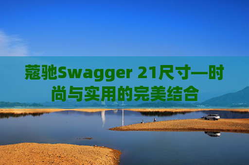 蔻驰Swagger 21尺寸—时尚与实用的完美结合