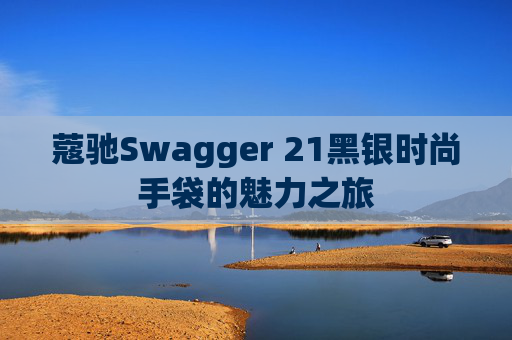 蔻驰Swagger 21黑银时尚手袋的魅力之旅