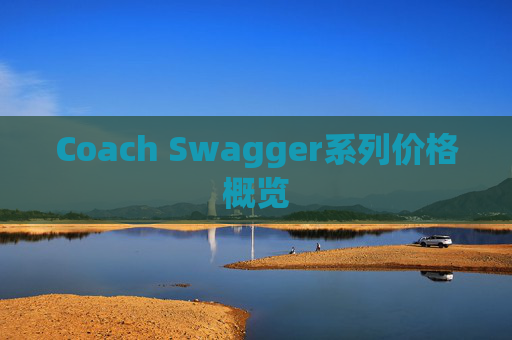 Coach Swagger系列价格概览