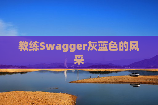 教练Swagger灰蓝色的风采