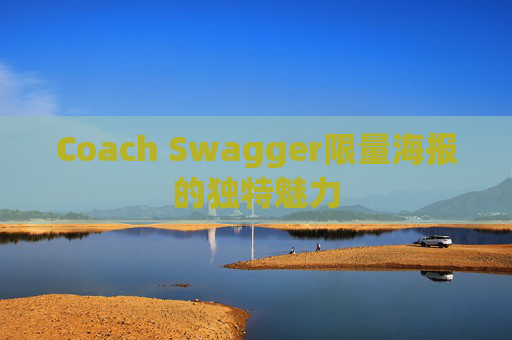 Coach Swagger限量海报的独特魅力
