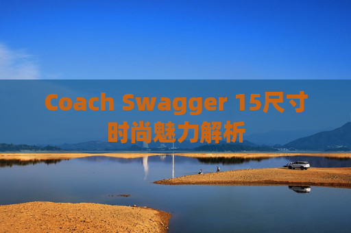 Coach Swagger 15尺寸时尚魅力解析