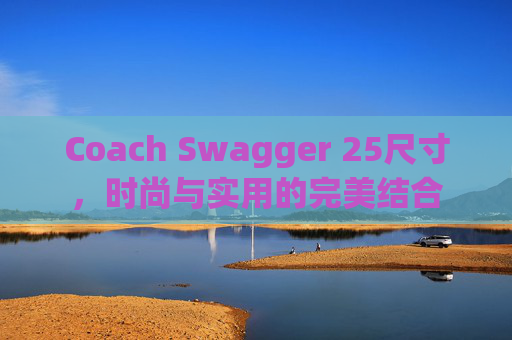 Coach Swagger 25尺寸，时尚与实用的完美结合